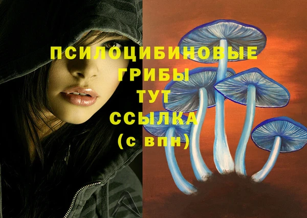 дмт Волосово