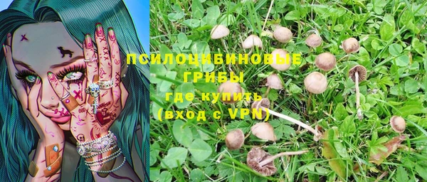 дмт Волосово
