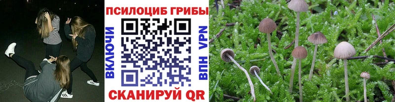 купить наркотики сайты маркетплейс состав Галлюциногенные грибы Cubensis Ленинск-Кузнецкий